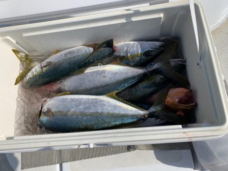 久しぶりに萩沖へ