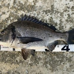 イチノ兄弟、釣果！