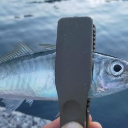 表層パターンで連発