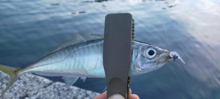 表層パターンで連発