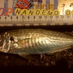 釣りデビュー　121日目