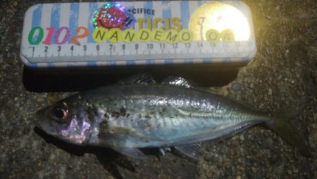 釣りデビュー　125日目