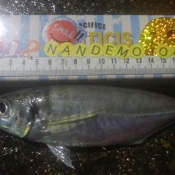 釣りデビュー　128日目