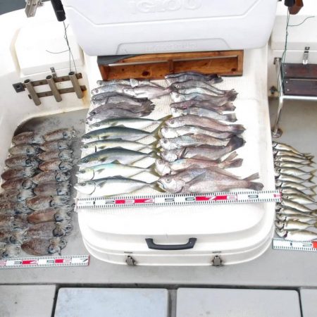 SOUTH釣果　欲張りプラン