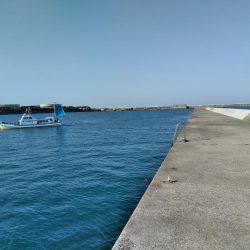 アジ・・・バラシ一回・・