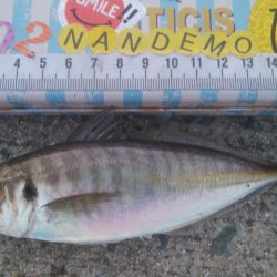 釣りデビュー 138日目