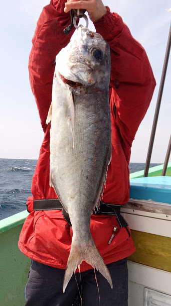 康仁丸・ジギング釣り果