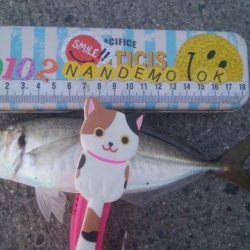 釣りデビュー　139日目