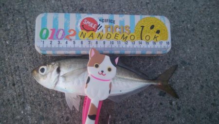 釣りデビュー　139日目