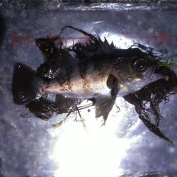 メテオストライク