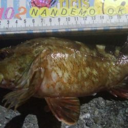 釣りデビュー　141日目