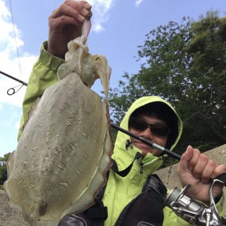 A.P.P フィッシングガイドサービス　イ…