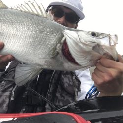 A.P.P フィッシングガイドサービス 上五島町 カヤックヒラスズキ RIDEON!