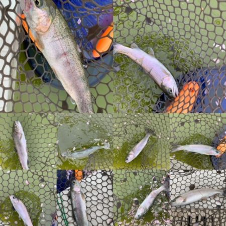 服部緑地　結構活性高い