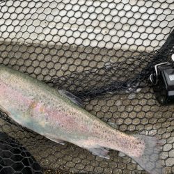 岸和田フィッシングパーク 3桁