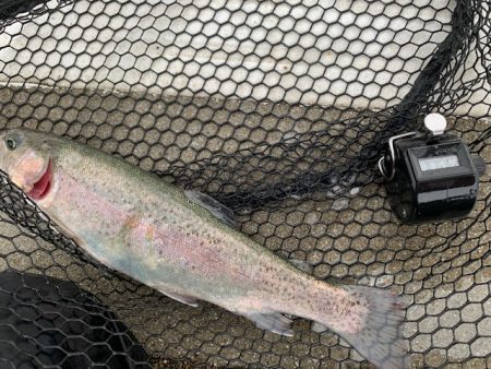 岸和田フィッシングパーク 3桁