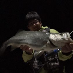 A.P.P フィッシングガイドサービス 夜釣りチェックへ!