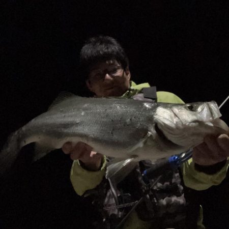 A.P.P フィッシングガイドサービス 夜釣りチェックへ!