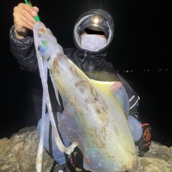 【２キロアップ】春イカエギングでアオリイカ