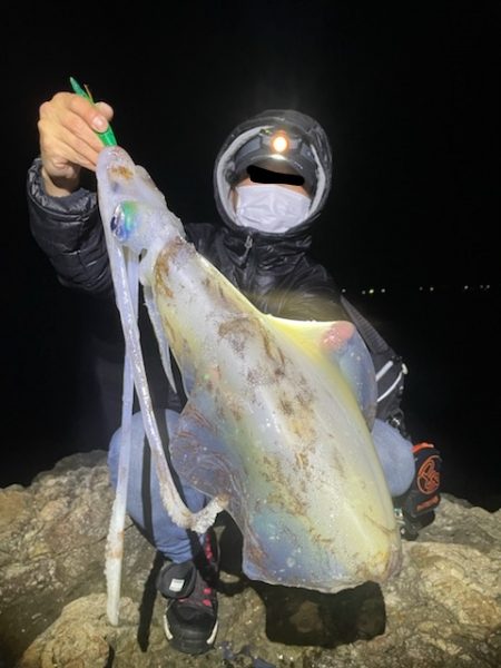【２キロアップ】春イカエギングでアオリイカ