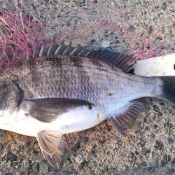 8ヶ月ぶりのご対面