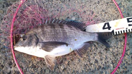 8ヶ月ぶりのご対面