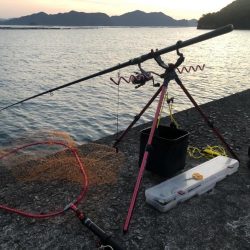 ヤエン 2キロアップ2杯