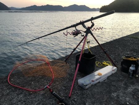 ヤエン 2キロアップ2杯