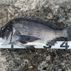 イチノ兄弟、釣果！