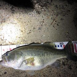 今年イチの型‼︎