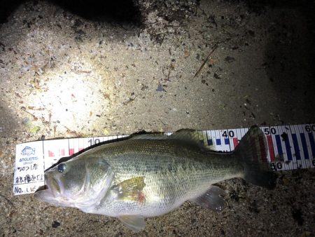 今年イチの型‼︎