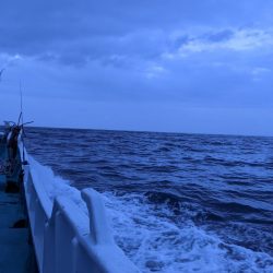 ほんまなんなん!