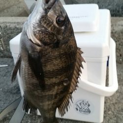 テトラ釣りにまた挑戦！