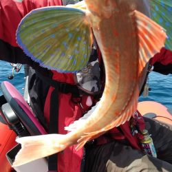 近海手漕ぎゴムボート