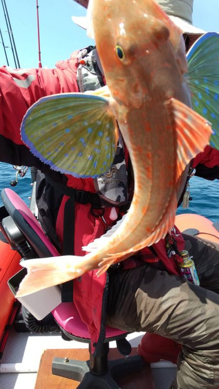 近海手漕ぎゴムボート