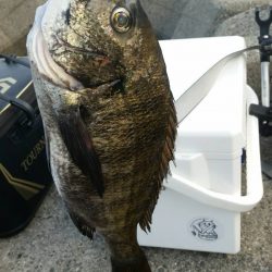 テトラ釣りに挑戦！