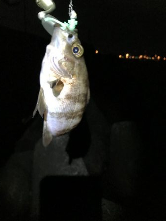 初めて2回目のフロート釣り