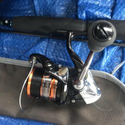 雨アジングでアジ10匹GET