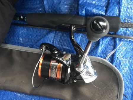 雨アジングでアジ10匹GET