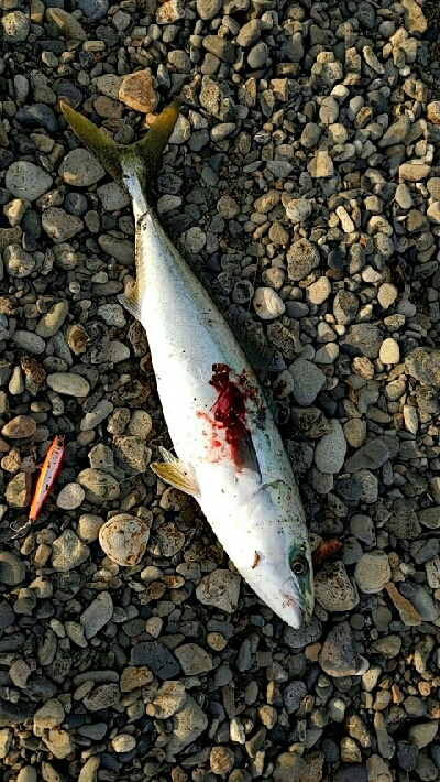 ワンチャンモノにした一発！