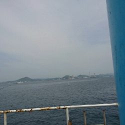 前回浜辺のゴミ拾いしたのでメジロの恩返しかなぁ？