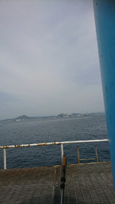 前回浜辺のゴミ拾いしたのでメジロの恩返しかなぁ？