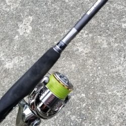 衣奈付近でサワラ