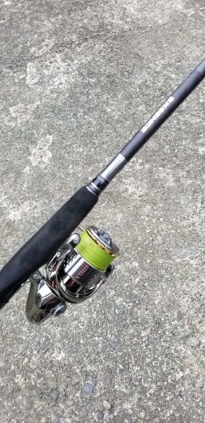 衣奈付近でサワラ