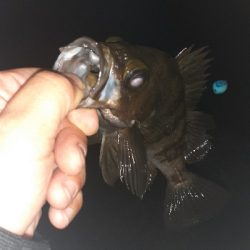 少し風ありますが行きます。