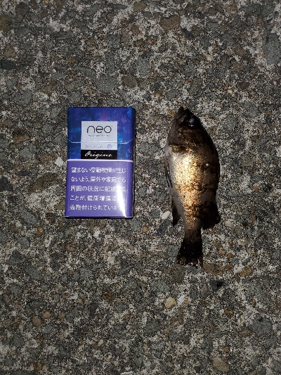 中潮微風大当り