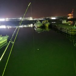 メバルを求めて