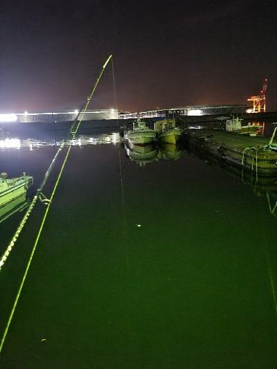 メバルを求めて