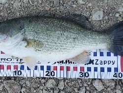 やっとやっとの初バス‼️‼️