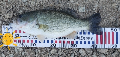 やっとやっとの初バス‼&#x…